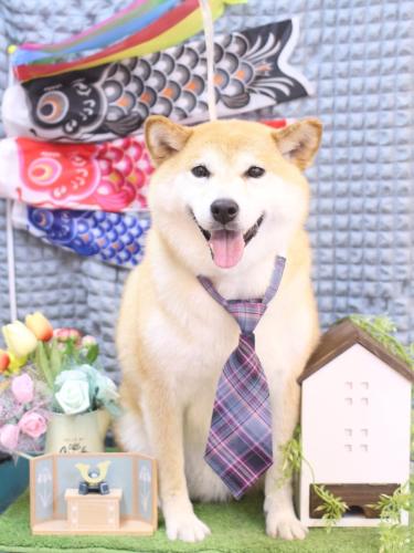 20230512平太くん